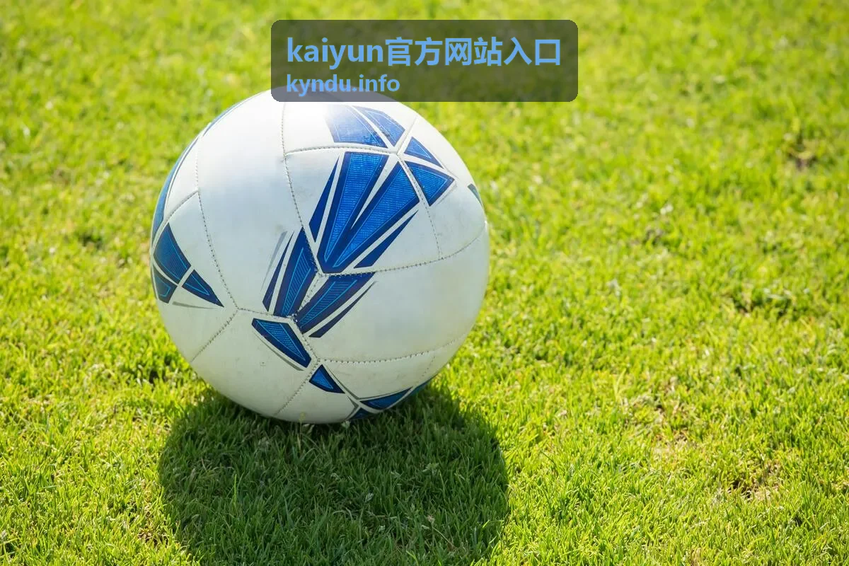 kaiyun官方网站入口连锁零售门店账号与权限对接场景
