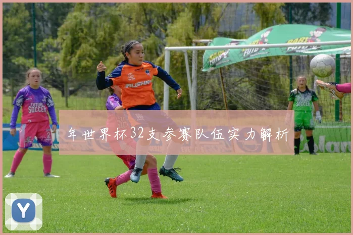年世界杯32支参赛队伍实力解析