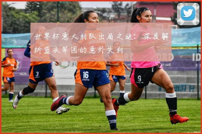 世界杯意大利队出局之谜：深度解析蓝衣军团的意外失利