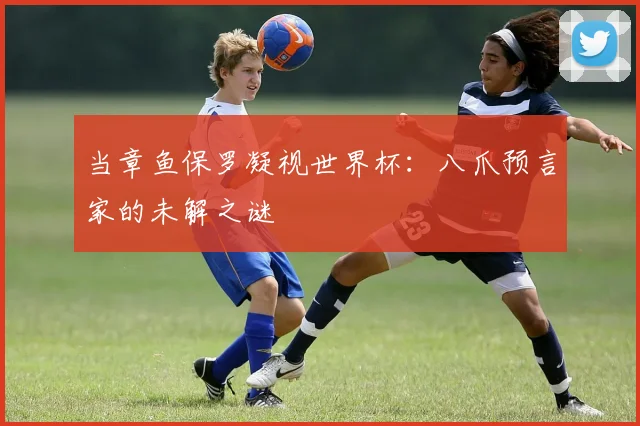 当章鱼保罗凝视世界杯：八爪预言家的未解之谜