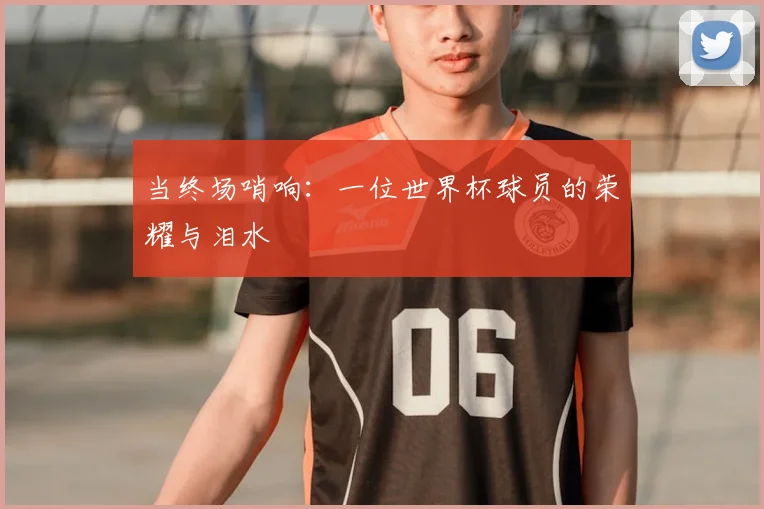 当终场哨响：一位世界杯球员的荣耀与泪水