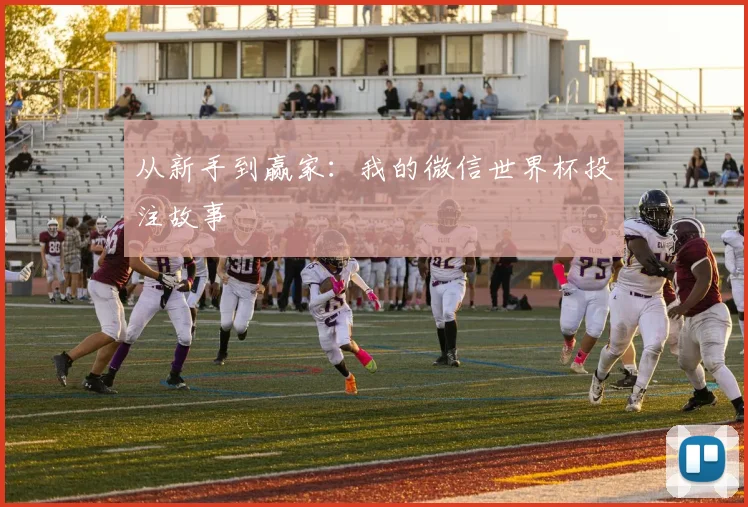 从新手到赢家:我的微信世界杯投注故事