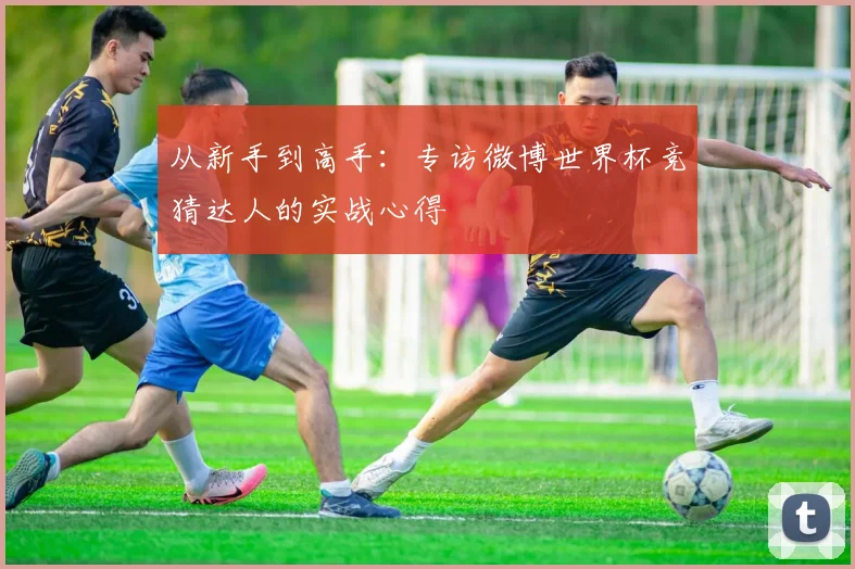 从新手到高手：专访微博世界杯竞猜达人的实战心得