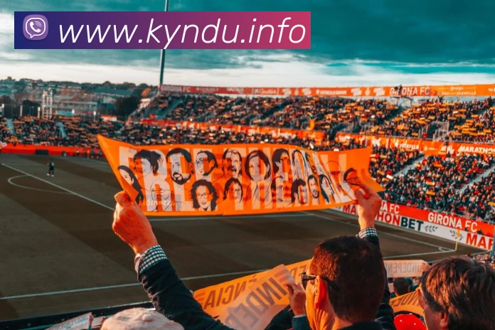 App Interface Preview